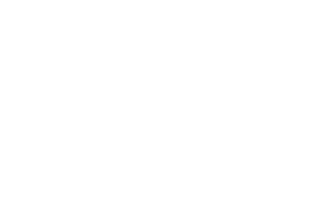 NeoServe Solution